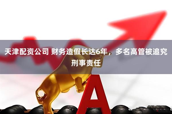 天津配资公司 财务造假长达6年，多名高管被追究刑事责任